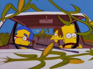 Bart on the Road